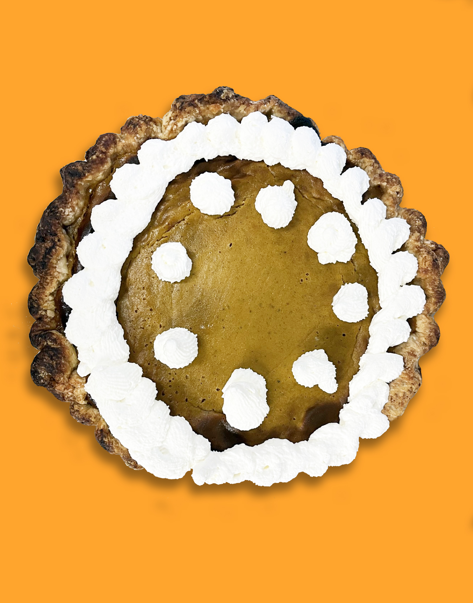 Pumpkin Pie